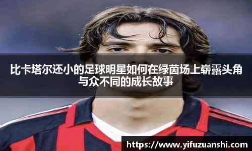 金年会jinnianhui首页